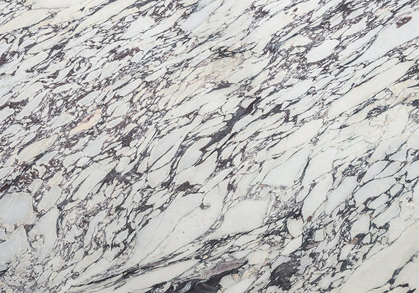 Calacatta Viola Honed Marble Slab Random 1 1/4