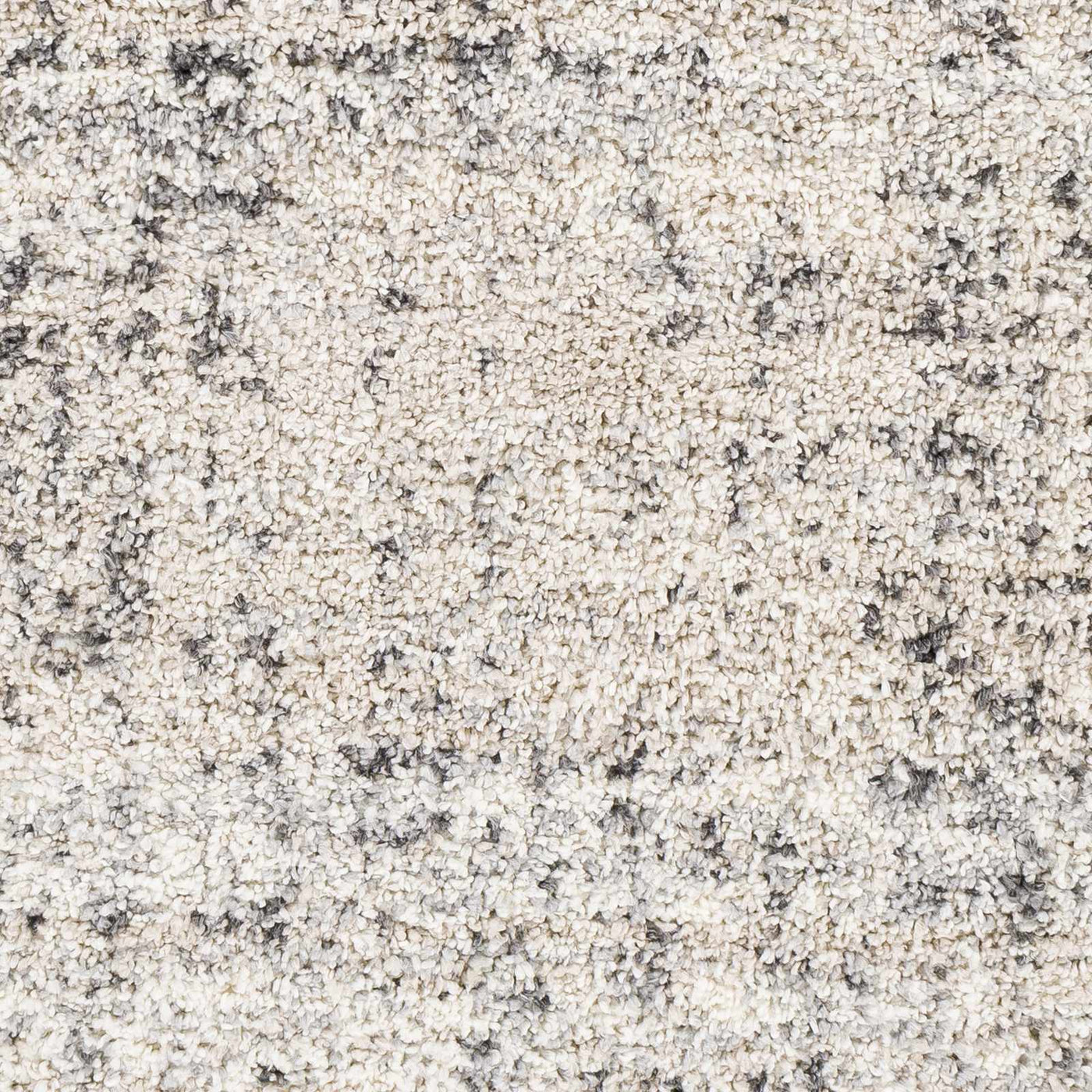 Calsib Area Rug by Boutique Rugs
