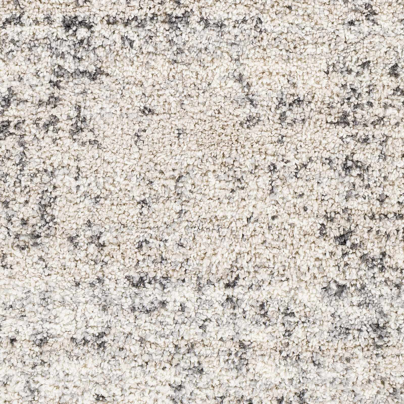 Calsib Area Rug by Boutique Rugs