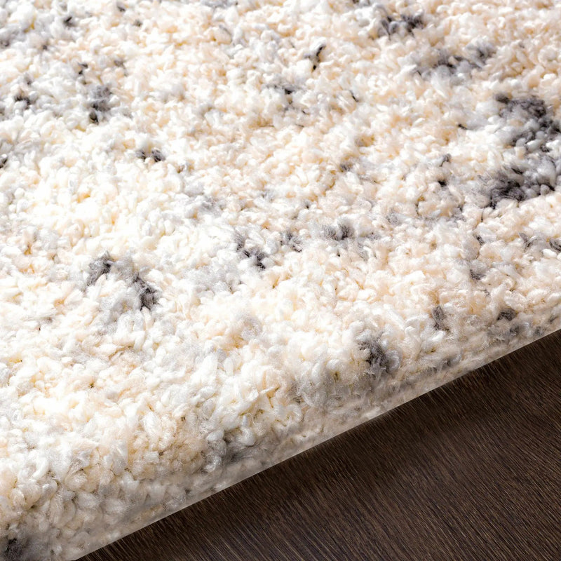 Calsib Area Rug by Boutique Rugs