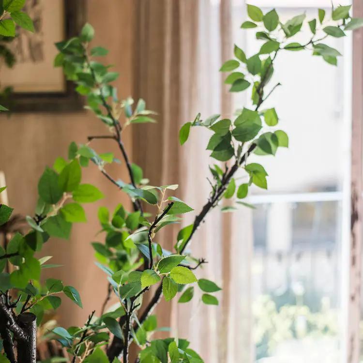 Camellia Green Leaf Stem by RusticReach