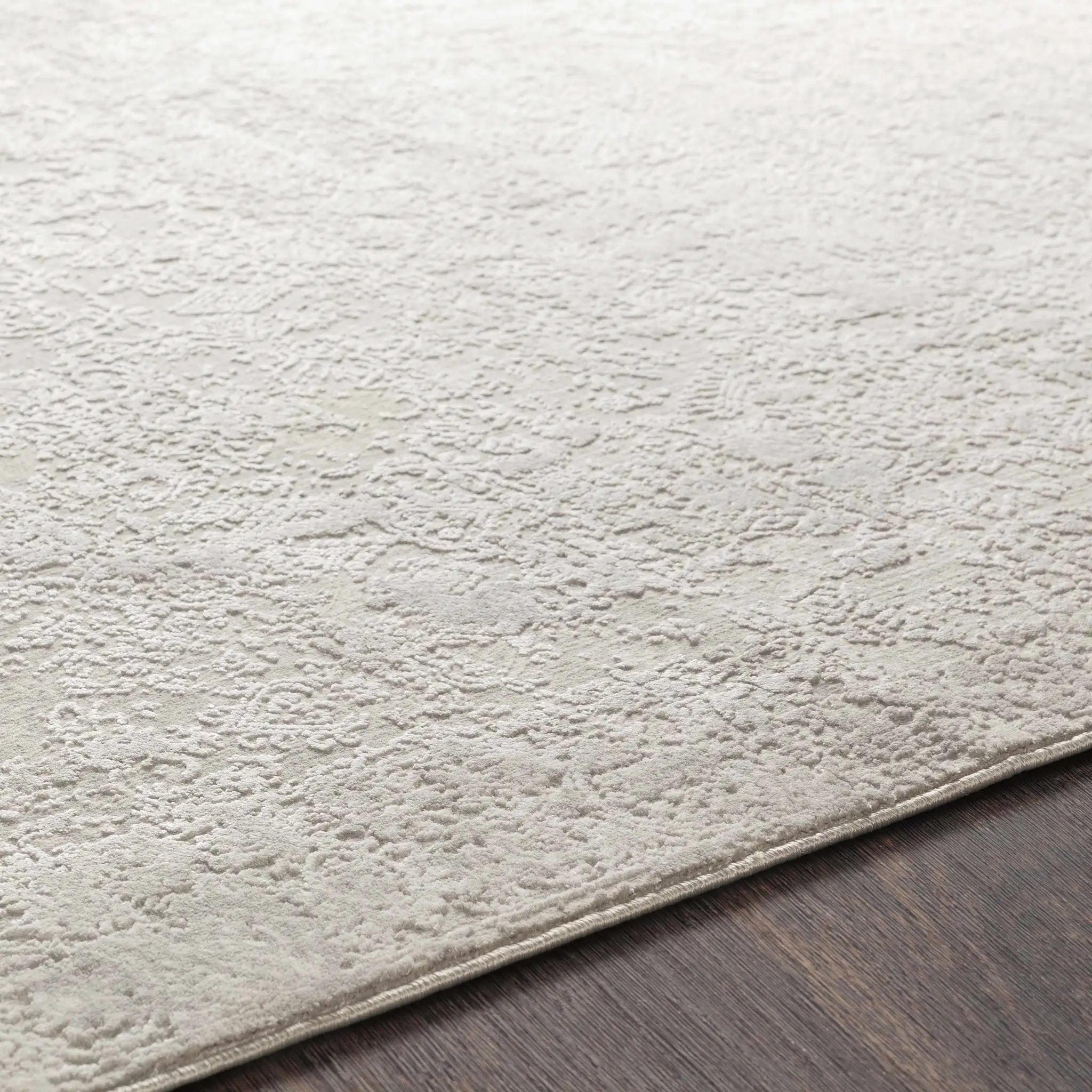Canaseraga Area Rug - Clearance by Boutique Rugs