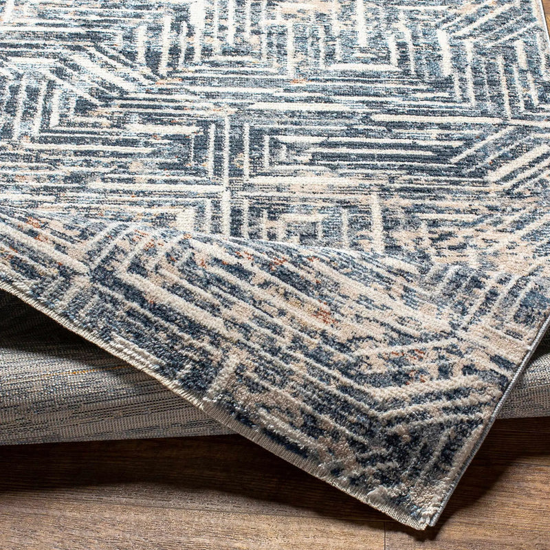Capaga Area Rug - Clearance by Boutique Rugs