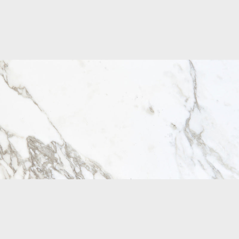 Carrara Arabescato Matte Porcelain Tiles 24x48 Porcelain Matte 24x48 Tiles