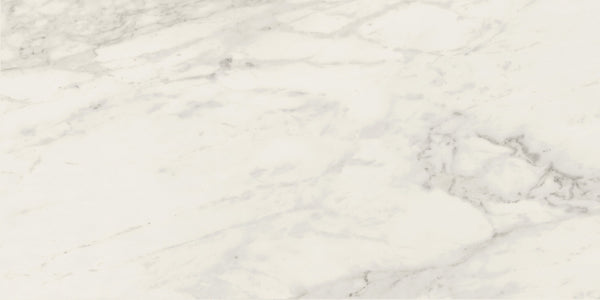 Carrara Select 2.0 Calacatta Renoire Honed Marble Look Cove Base Porcelain Trim 6x12