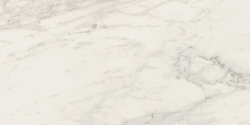 Carrara Select 2.0 Calacatta Renoire Honed Marble Look Cove Base Porcelain Trim 6x12, surface color and finish