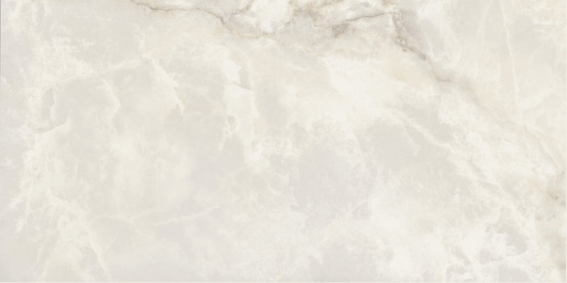 Carrara Select 2.0 Onyx Grey Honed Marble Look Cove Base Porcelain Trim 6x12, surface color and finish