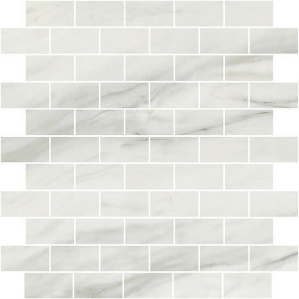 Carrara Select 2.0 Zebrino Honed 1x2 Brick Marble Look Porcelain Mosaics 12x12