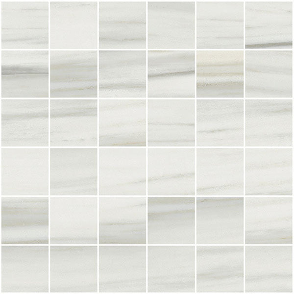 Carrara Select 2.0 Zebrino Honed 2x2 Marble Look Porcelain Mosaics 12x12