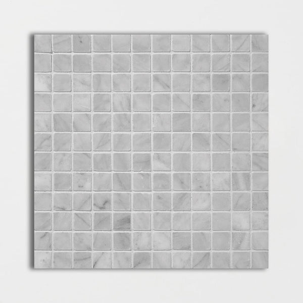 Carrara T Honed 1x1 Marble Mosaics 12x12