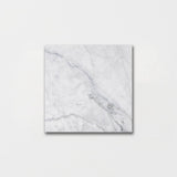 Carrara T Honed Marble Tiles 5 1/2x5 1/2