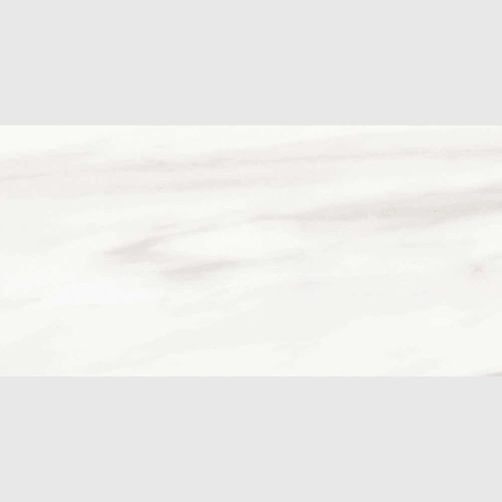 Carrara Venato Matte Porcelain Tiles 12x24 Porcelain Matte 12x24 Tiles