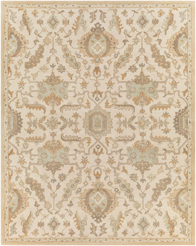Carrolltown Area Rug by Boutique Rugs