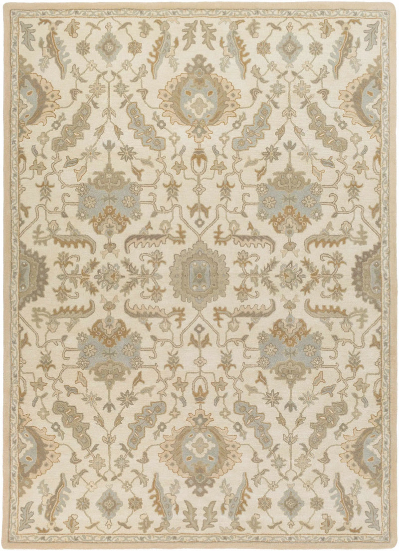 Carrolltown Area Rug by Boutique Rugs