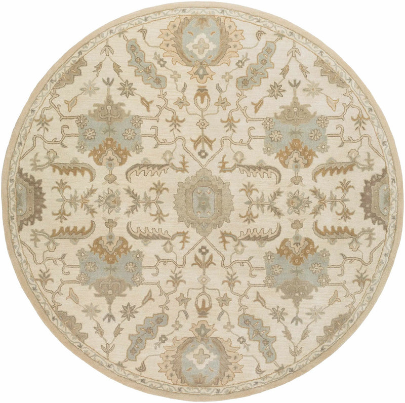 Carrolltown Area Rug by Boutique Rugs