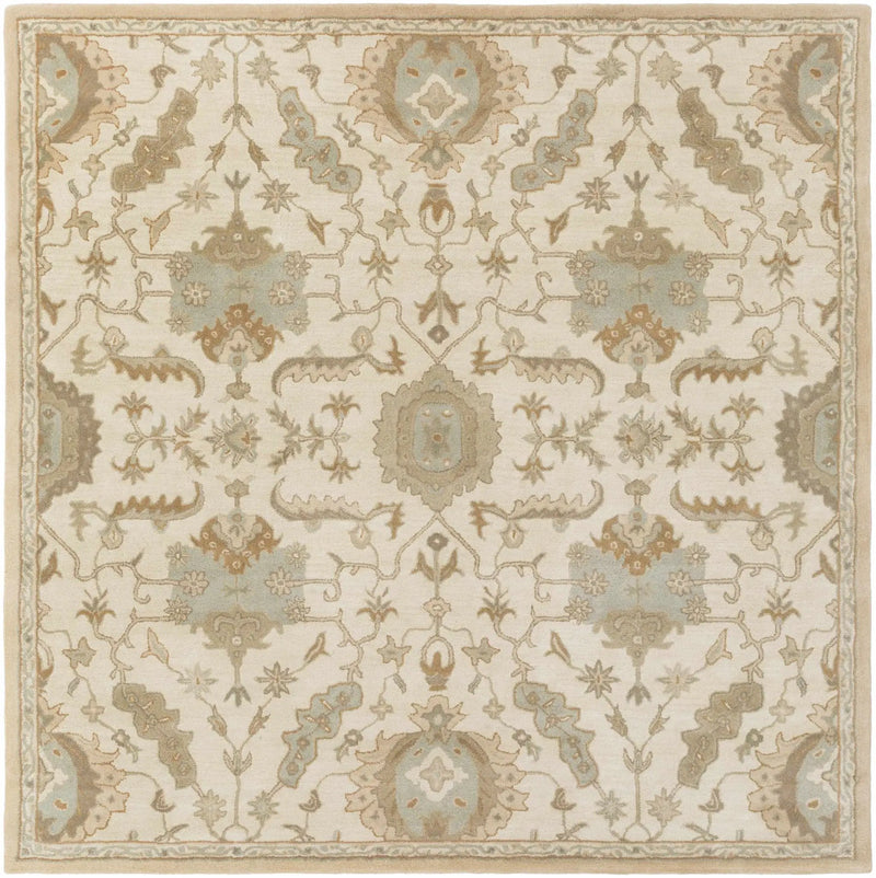 Carrolltown Area Rug by Boutique Rugs