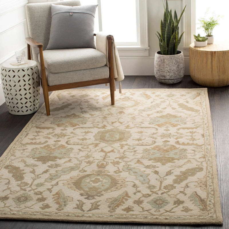 Carrolltown Area Rug by Boutique Rugs