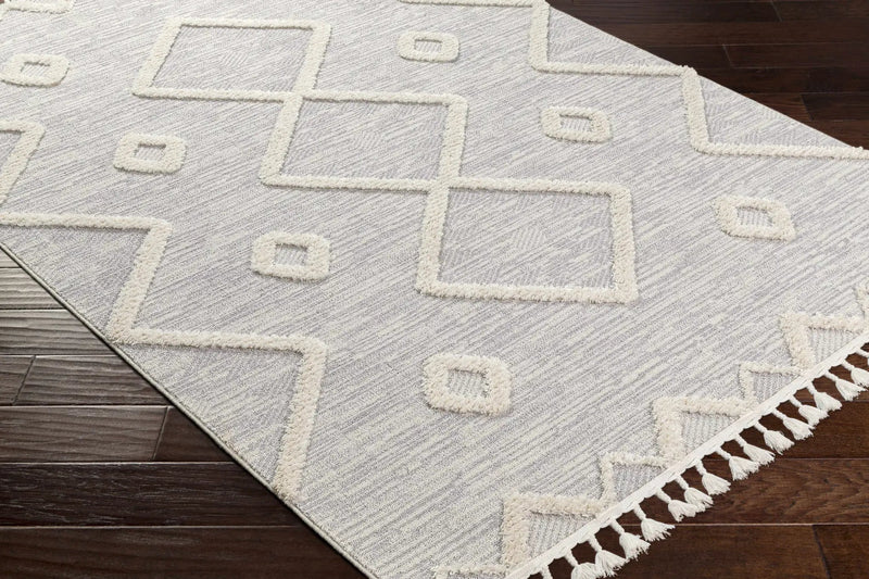Cauldwell High/Low Pile Rug with Tassels - Clearance by Boutique Rugs