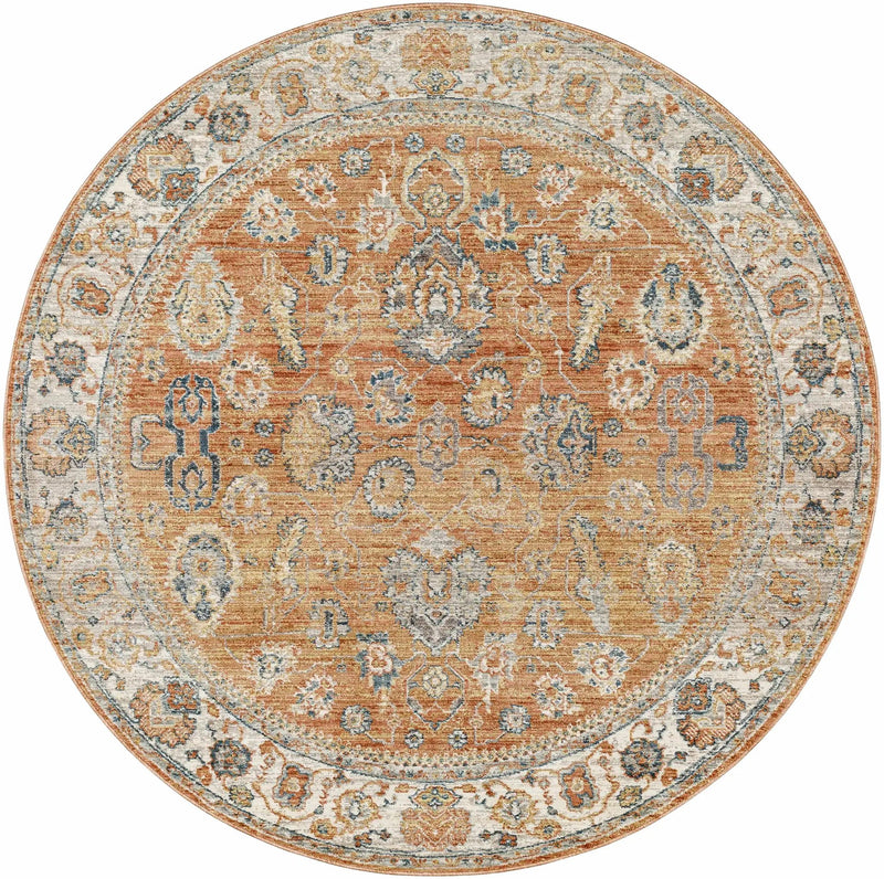 Cayla Area Rug - Clearance by Boutique Rugs
