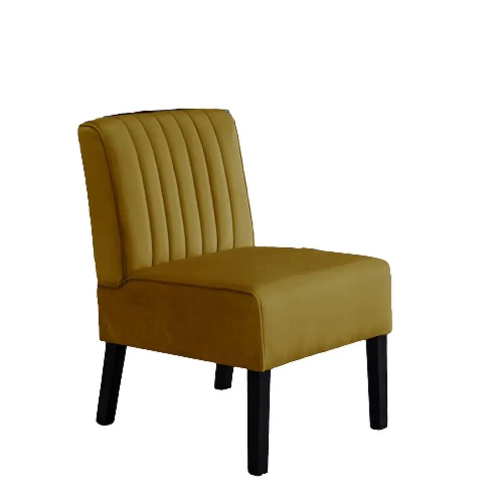 Reese - Mid-Century Modern Accent Chairs With Minimalist Design (Set of 2) by Unique Piece Furniture