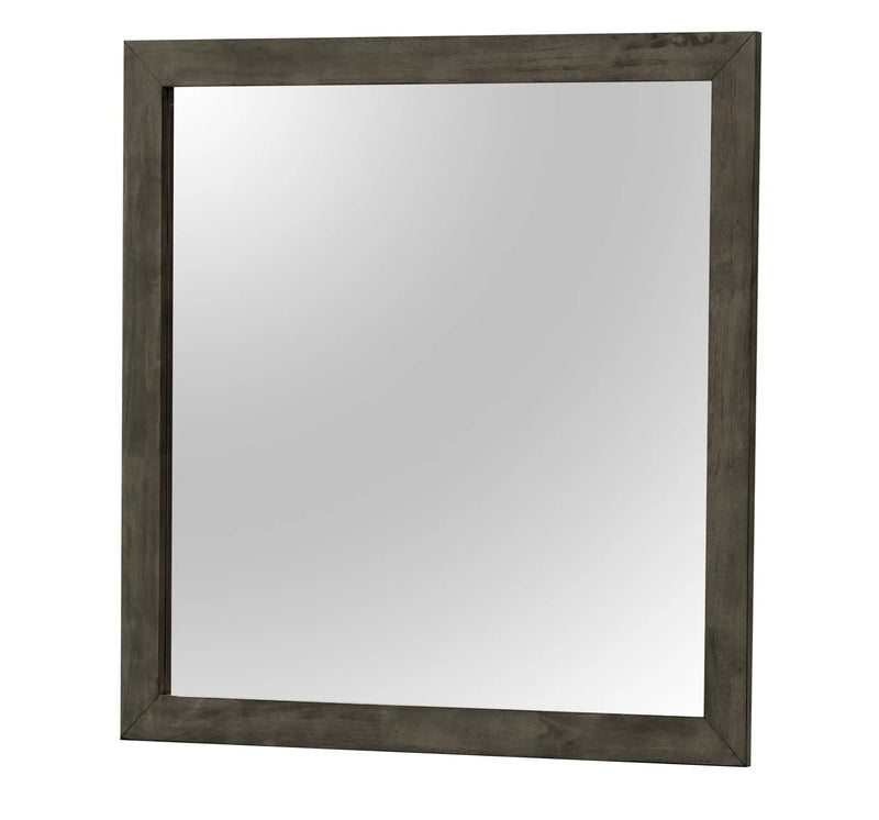 Modern Design Transitional Wall Mirror by HouseOfZazla