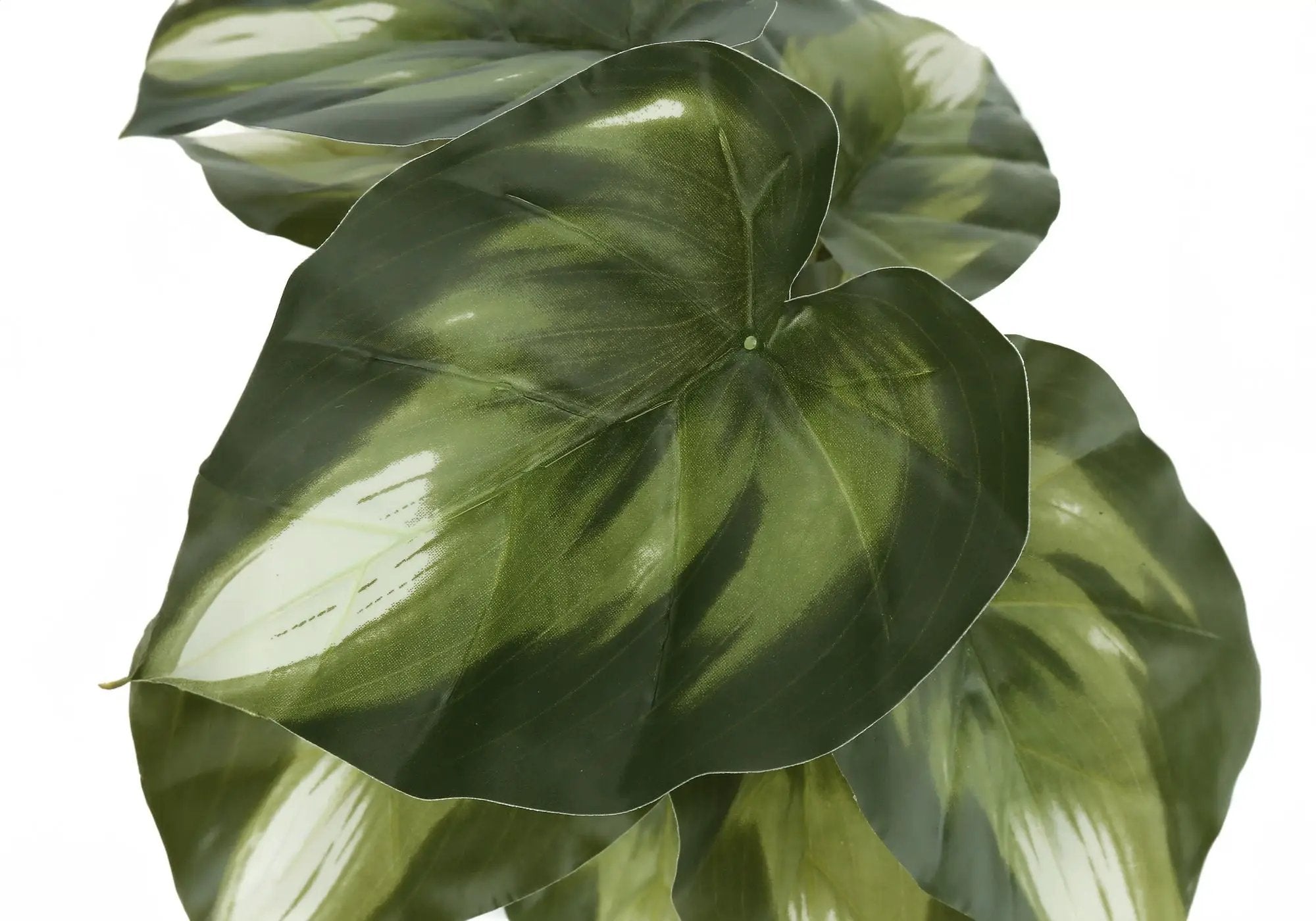 13" Tall Artificial Monstera and Calathea Plants, Set of 2 by HouseOfZazla