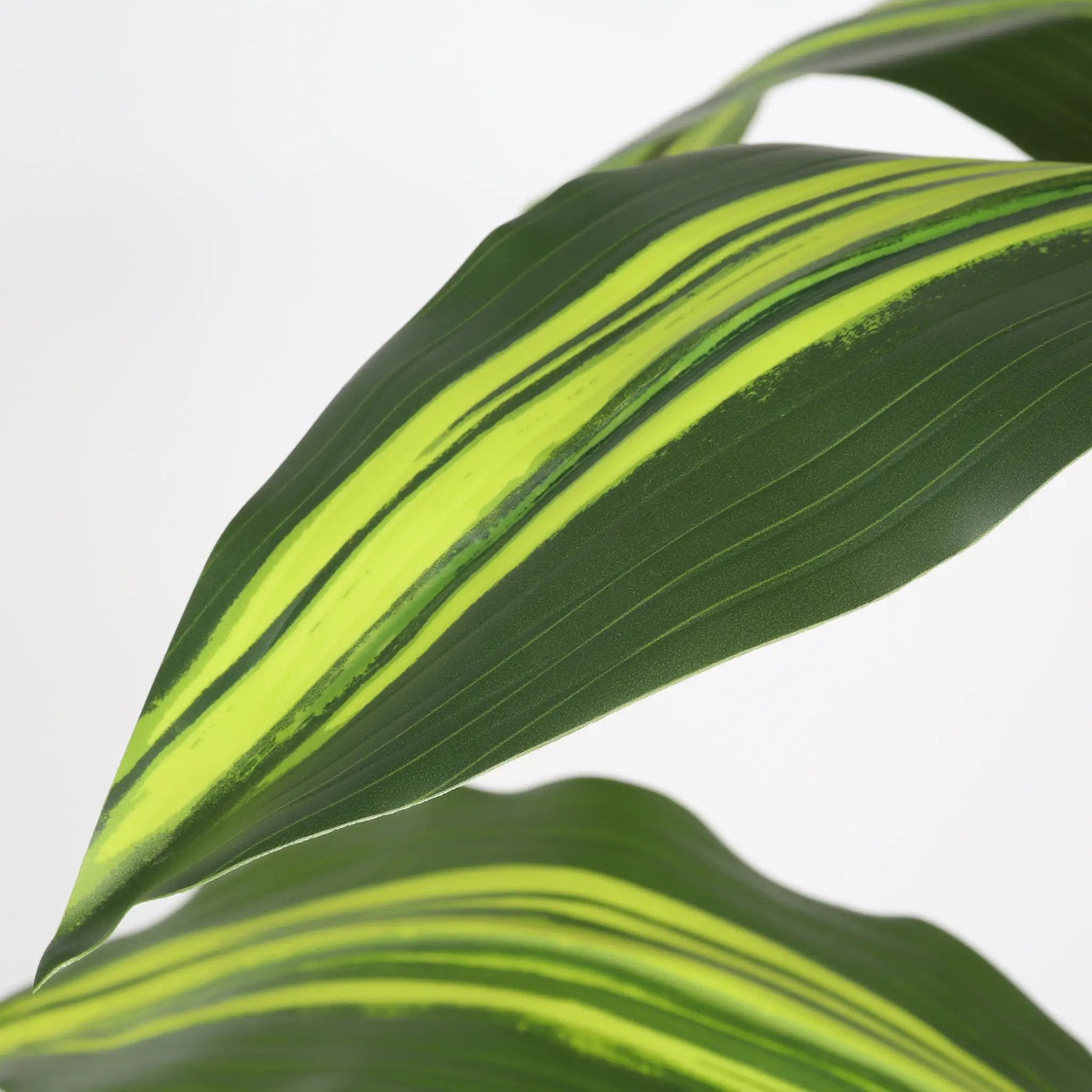 5' Artificial Dracaena Tree by HouseOfZazla
