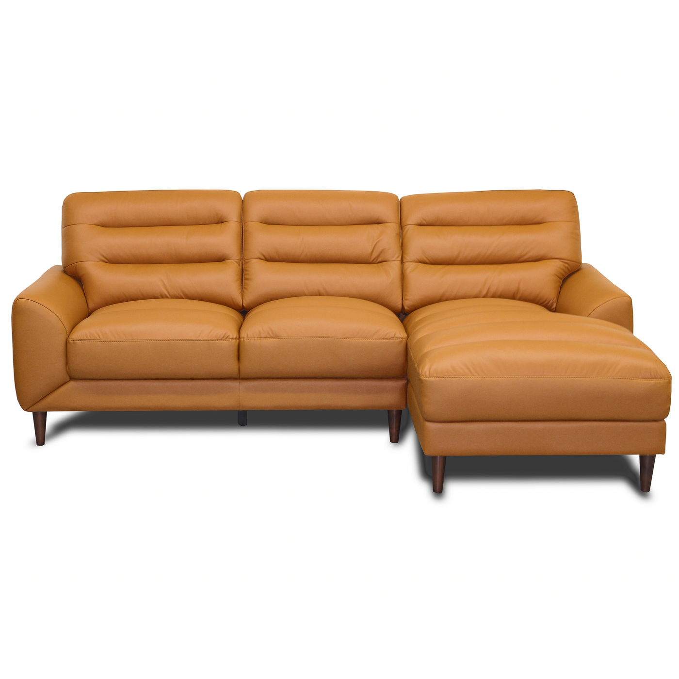 Clarion Genuine Leather Sectional by HouseOfZazla
