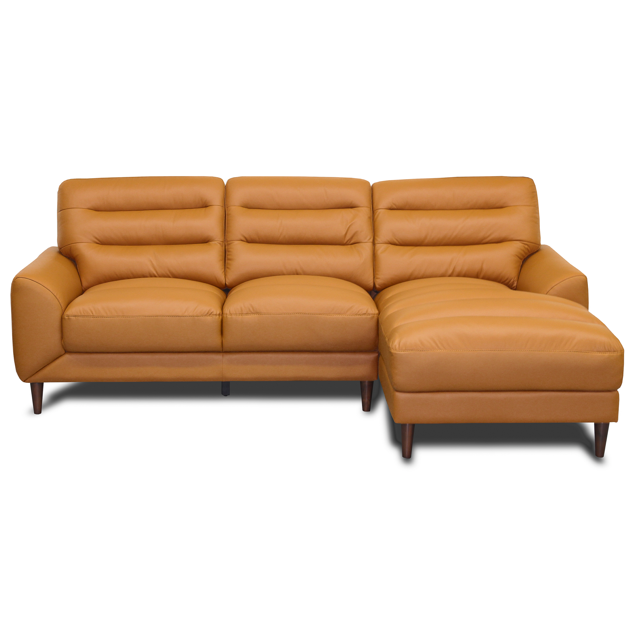 Clarion Genuine Leather Sectional by HouseOfZazla