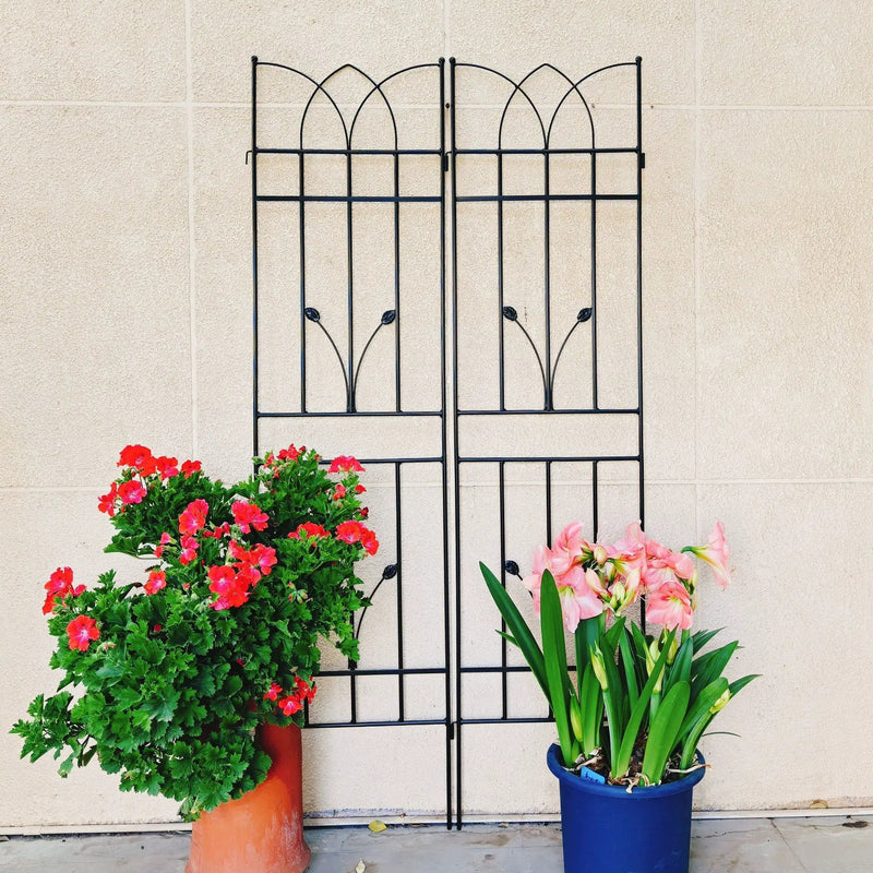 Metal Garden Trellis Rustproof For Climbing Plants Outdoor Flower Support by HouseOfZazla