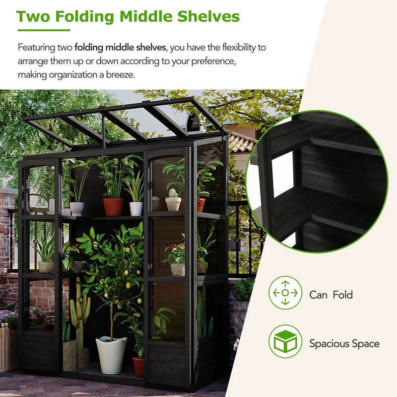TOPMAX 78-inch Wooden Greenhouse Cold Frame with 4 Independent Skylights and 2 Folding Middle Shelves by HouseOfZazla