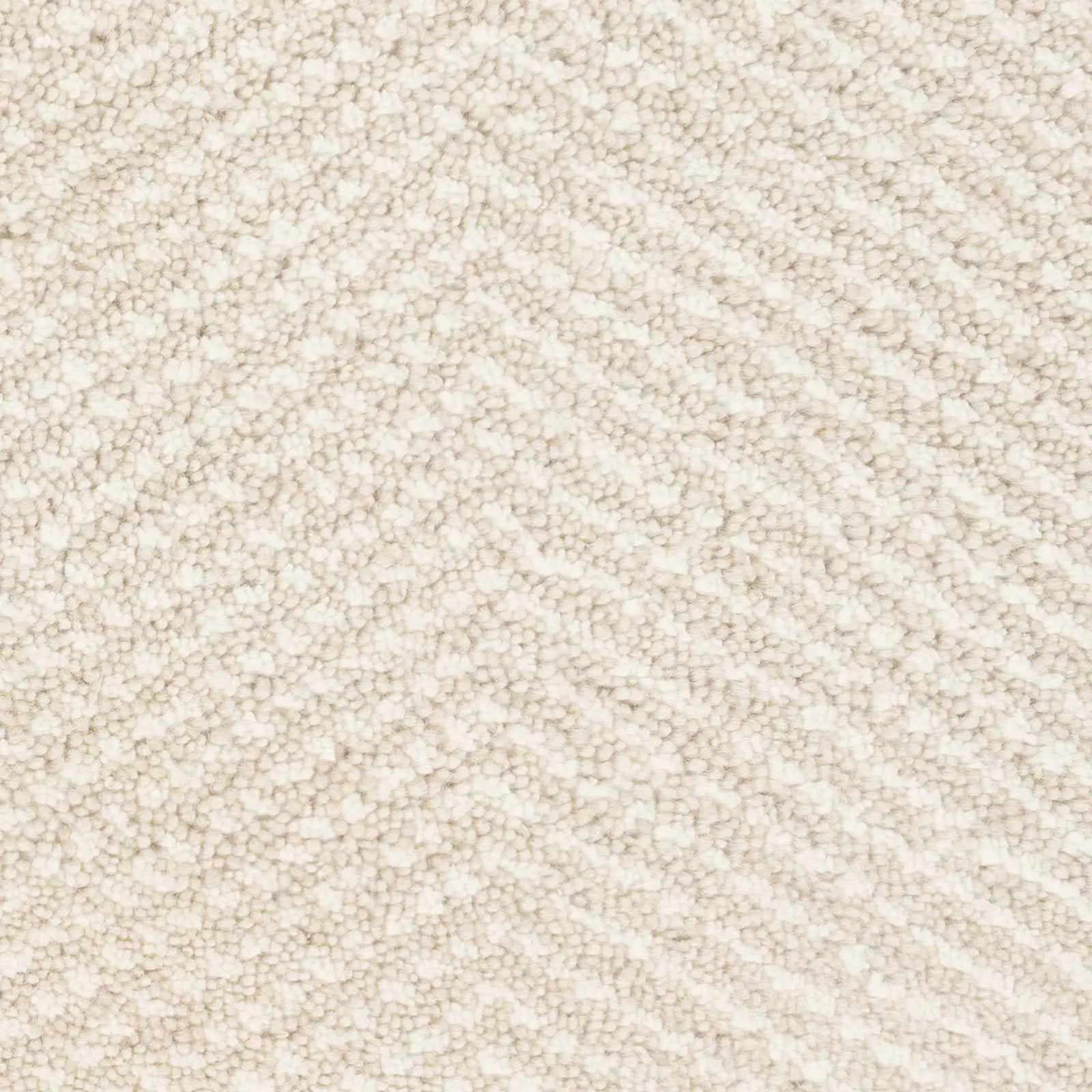 Ceiba Carpet - Clearance by Boutique Rugs