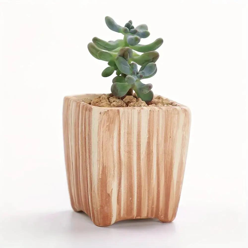 Ceramic Gift Pots for Celebrations with Unique Designs and Colors by House Of Avana