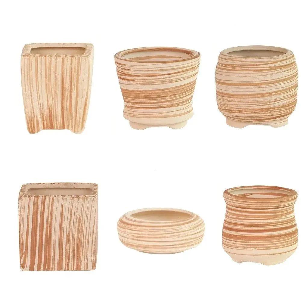 Ceramic Gift Pots for Celebrations with Unique Designs and Colors by House Of Avana