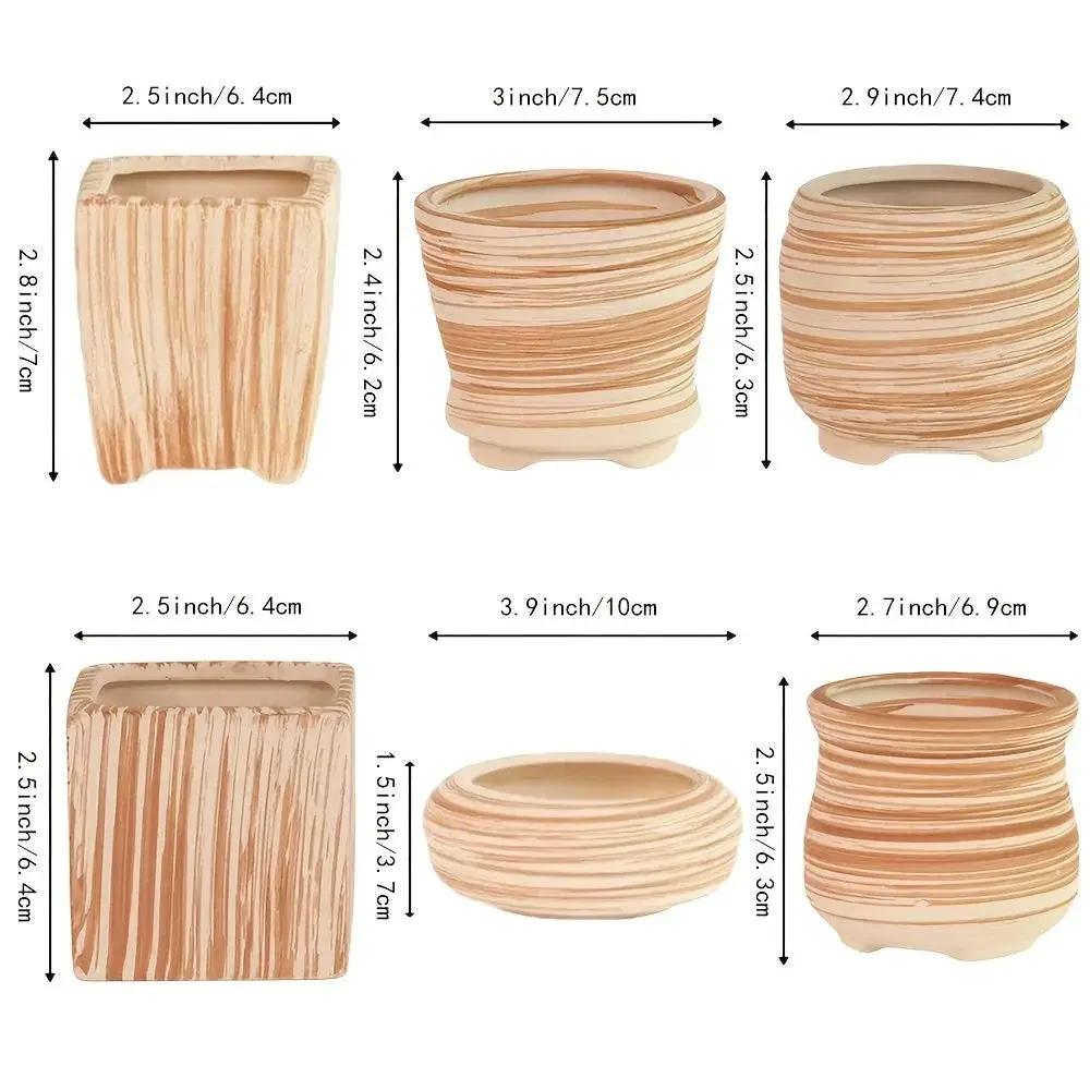 Ceramic Gift Pots for Celebrations with Unique Designs and Colors by House Of Avana