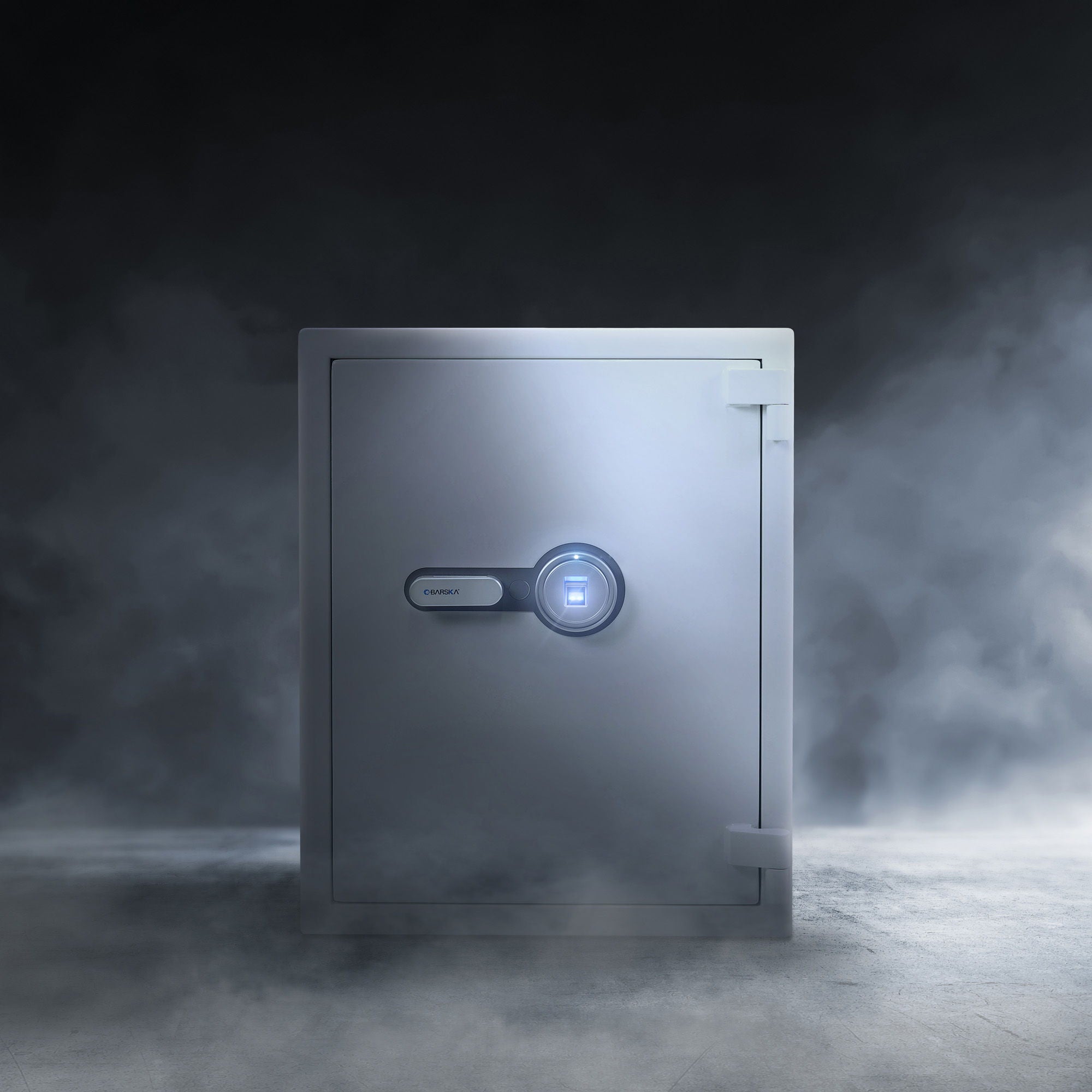 Biometric Fireproof Protection Safe by HouseOfZazla