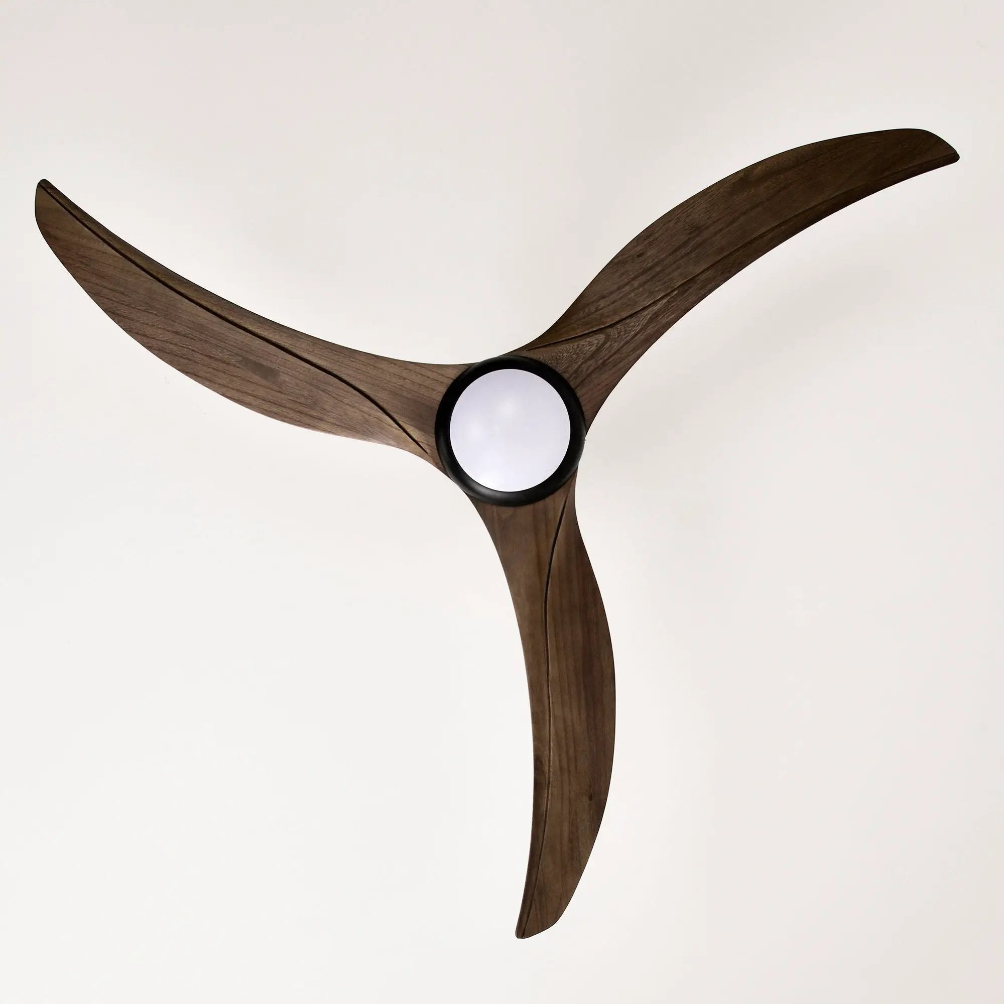 Indoor Outdoor Ceiling Fan With Light With Remote Control, Noiseless Reversible Motor, 6 Speed, 3 Color by HouseOfZazla