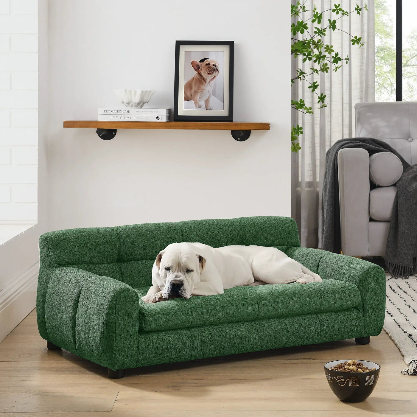 Modern Pet Sofa With Backrest And Armrests by HouseOfZazla
