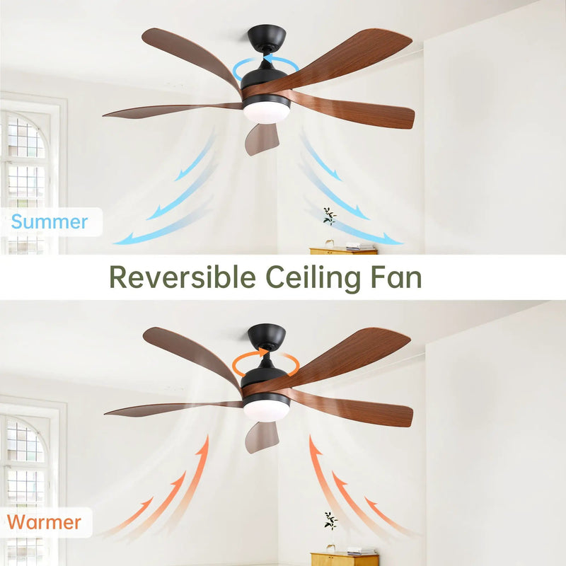 Ceiling Fan & DC Motor And Integrated Light by Unique Piece Furniture