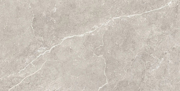 Charleston Grey Porcelain Tiles 12x24