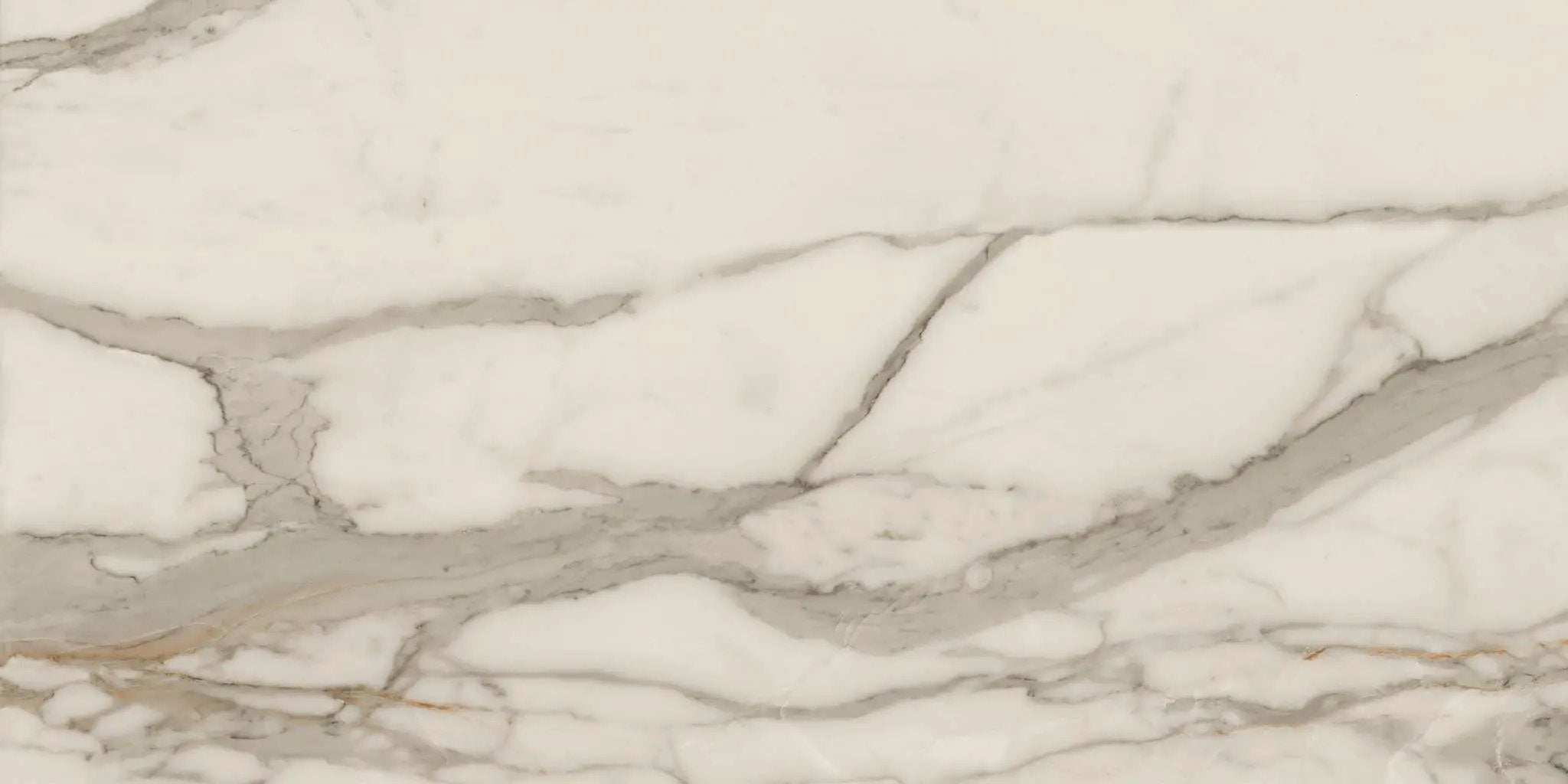Charme Calacatta Gold Marble Look Porcelain Tiles 24x48 by landmarkceramics