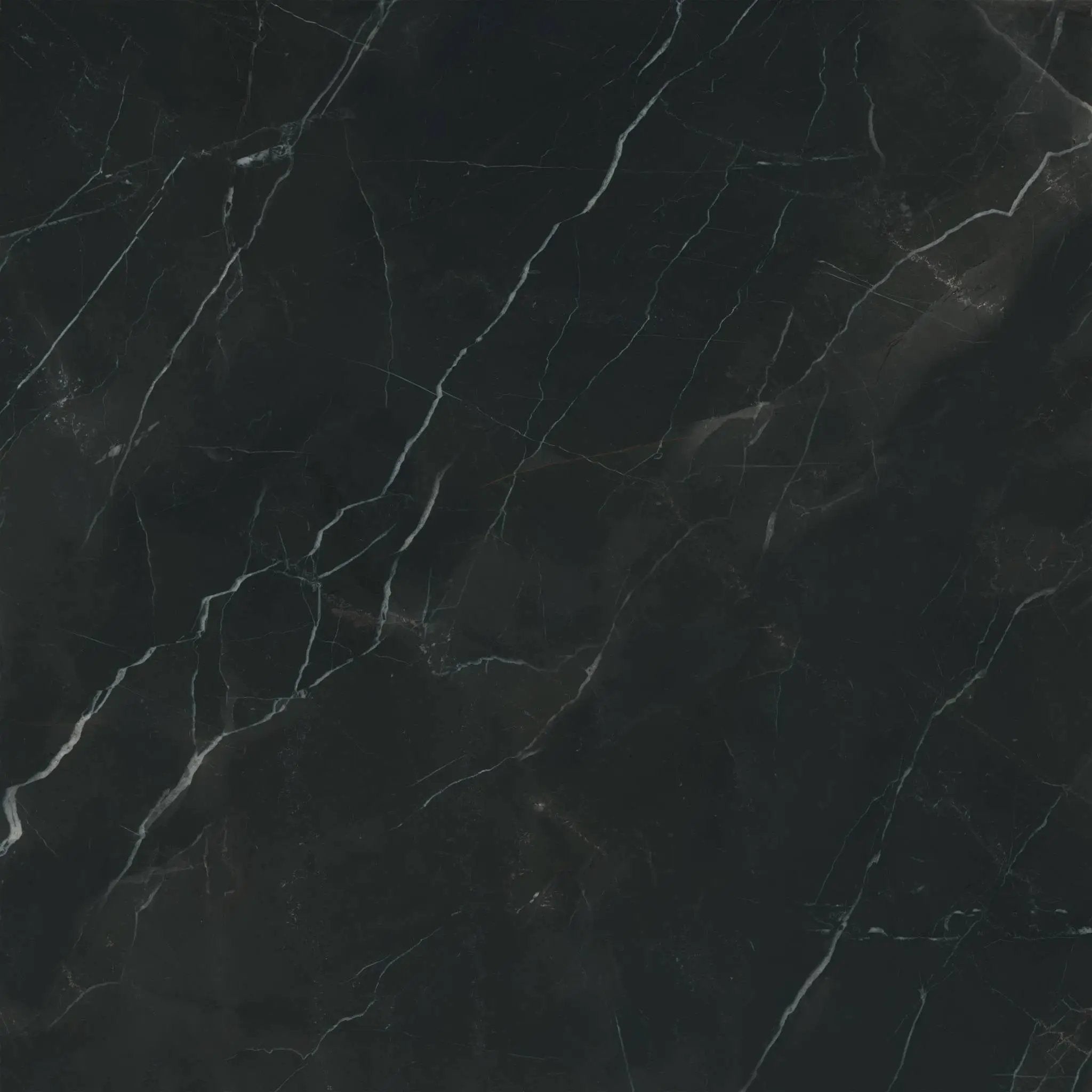 Charme Evo Calacatta Black Marble Look Porcelain Tiles 24x24 by landmarkceramics
