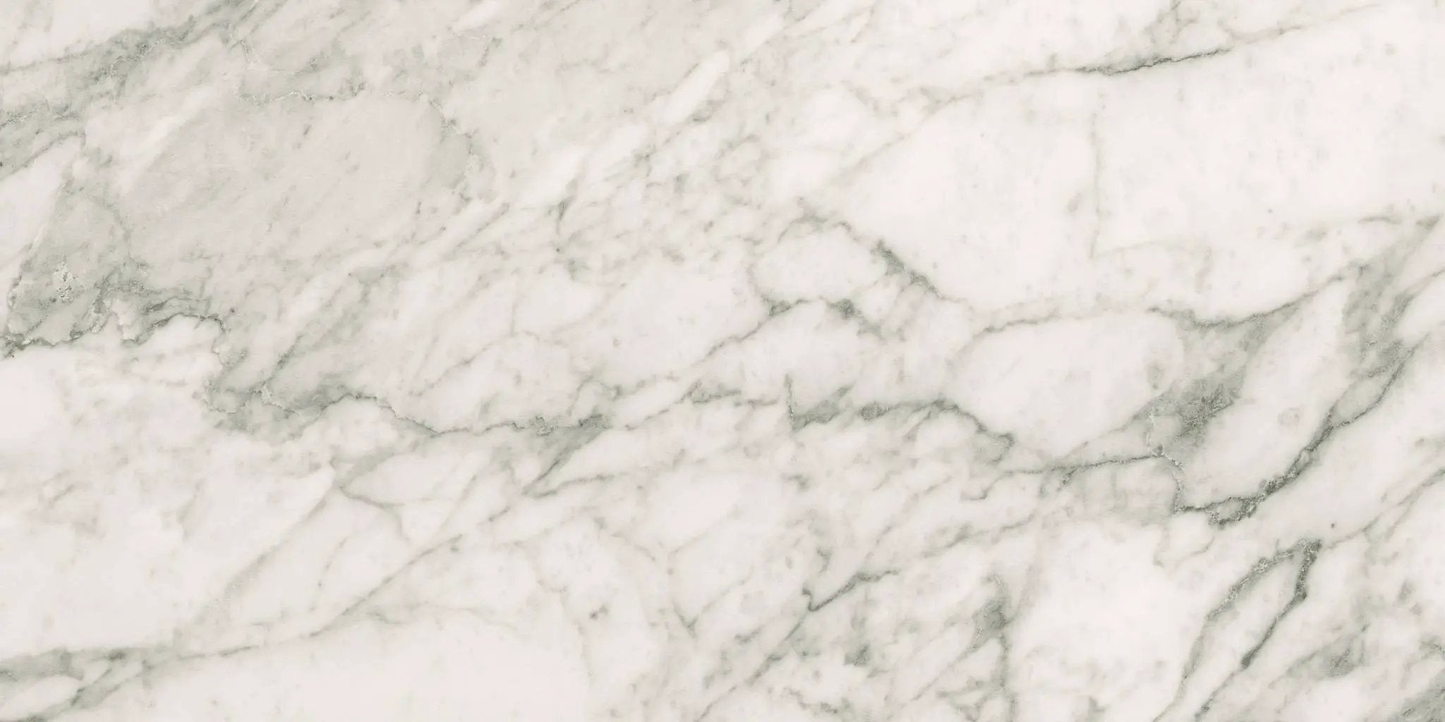 Charme Evo Renoir Plus Marble Look Porcelain Tiles 24x48 by landmarkceramics
