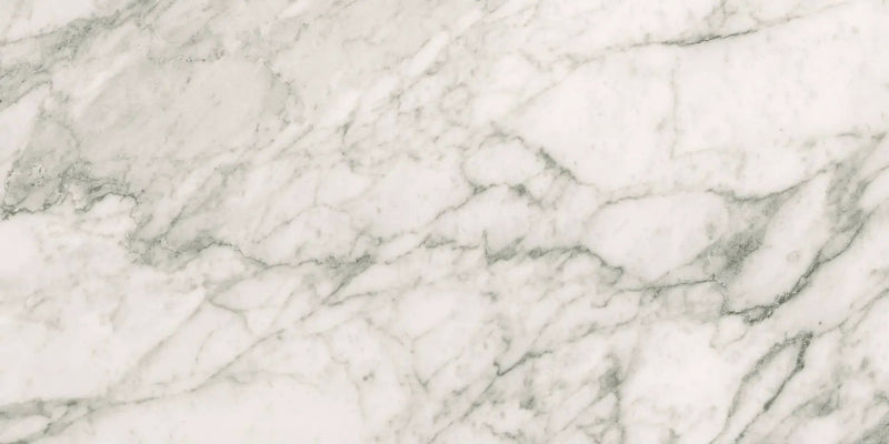 Charme Evo Renoir Plus Marble Look Porcelain Tiles 24x48 by landmarkceramics