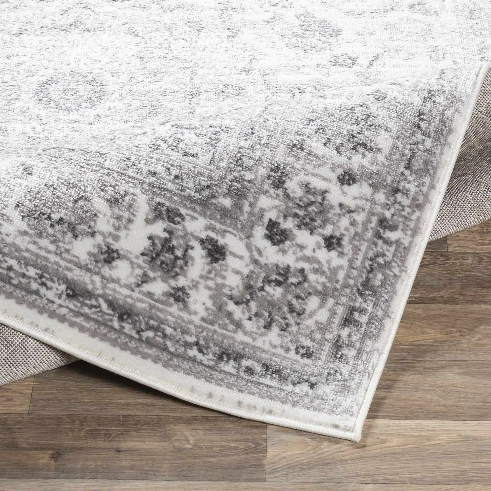 Chicota Area Rug by Boutique Rugs
