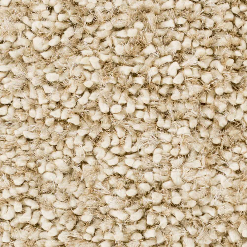 Chilhowie Area Rug - Clearance by Boutique Rugs