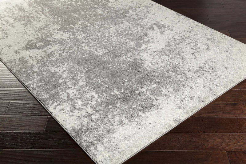 Chriesman Black/Beige Abstract Rug - Clearance by Boutique Rugs