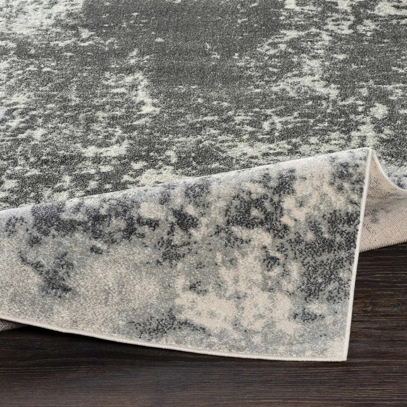 Chriesman Black/Beige Abstract Rug - Clearance by Boutique Rugs