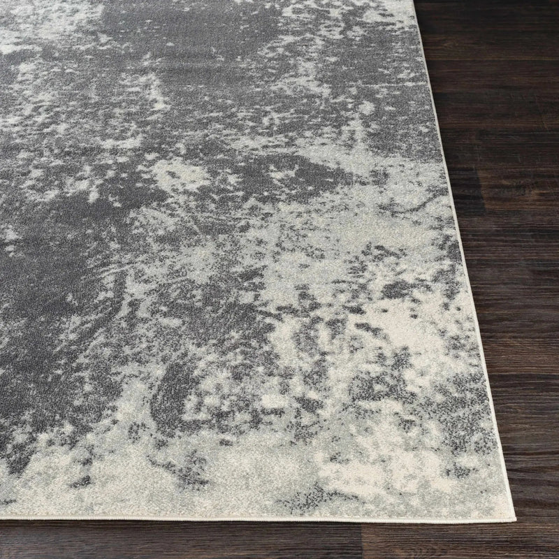 Chriesman Black/Beige Abstract Rug - Clearance by Boutique Rugs