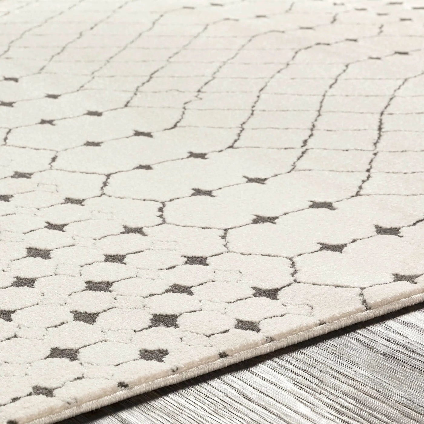 Chubbuck Moroccan Trellis Rug - Clearance by Boutique Rugs
